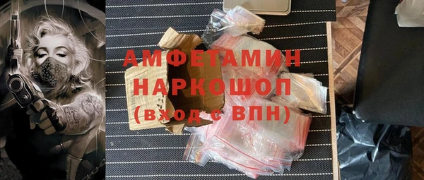 гашик Богданович