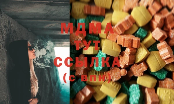 гашик Богданович