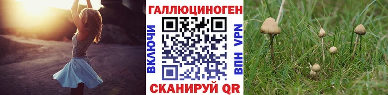 Галлюциногенные грибы Psilocybine cubensis  МЕГА ТОР  Бодайбо 